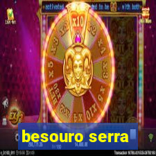 besouro serra-pau morde